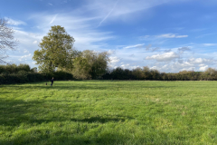 Field-landscape