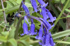 thumbnail_IMG_0082