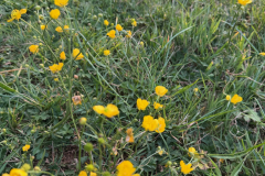 thumbnail_IMG_0613