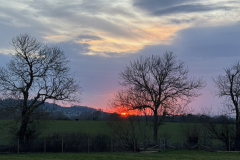 thumbnail_IMG_9327